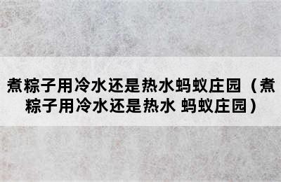 煮粽子用冷水还是热水蚂蚁庄园（煮粽子用冷水还是热水 蚂蚁庄园）